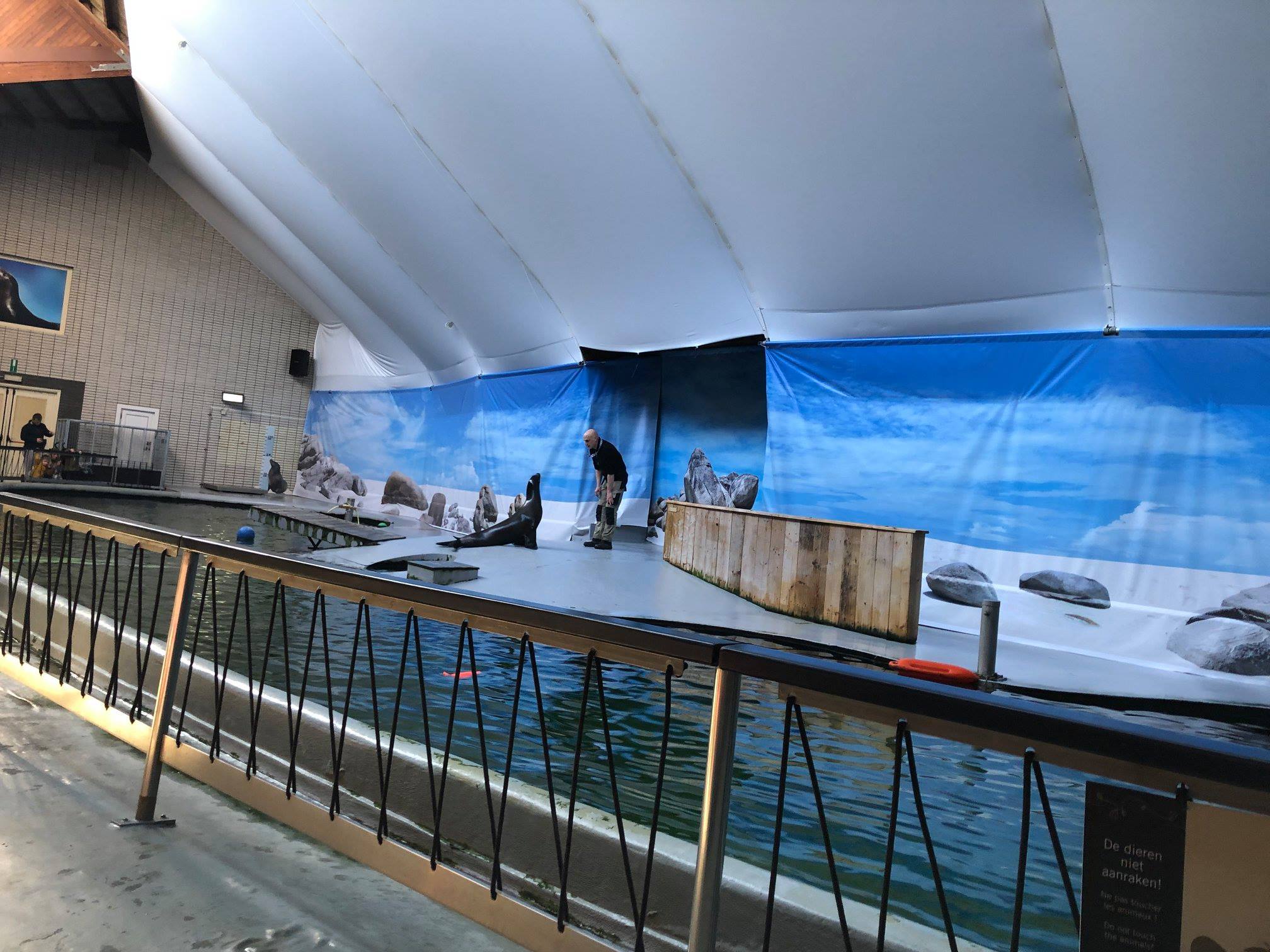 Sint-Martinus den XIIde - Zoo Antwerpen Kapoenen